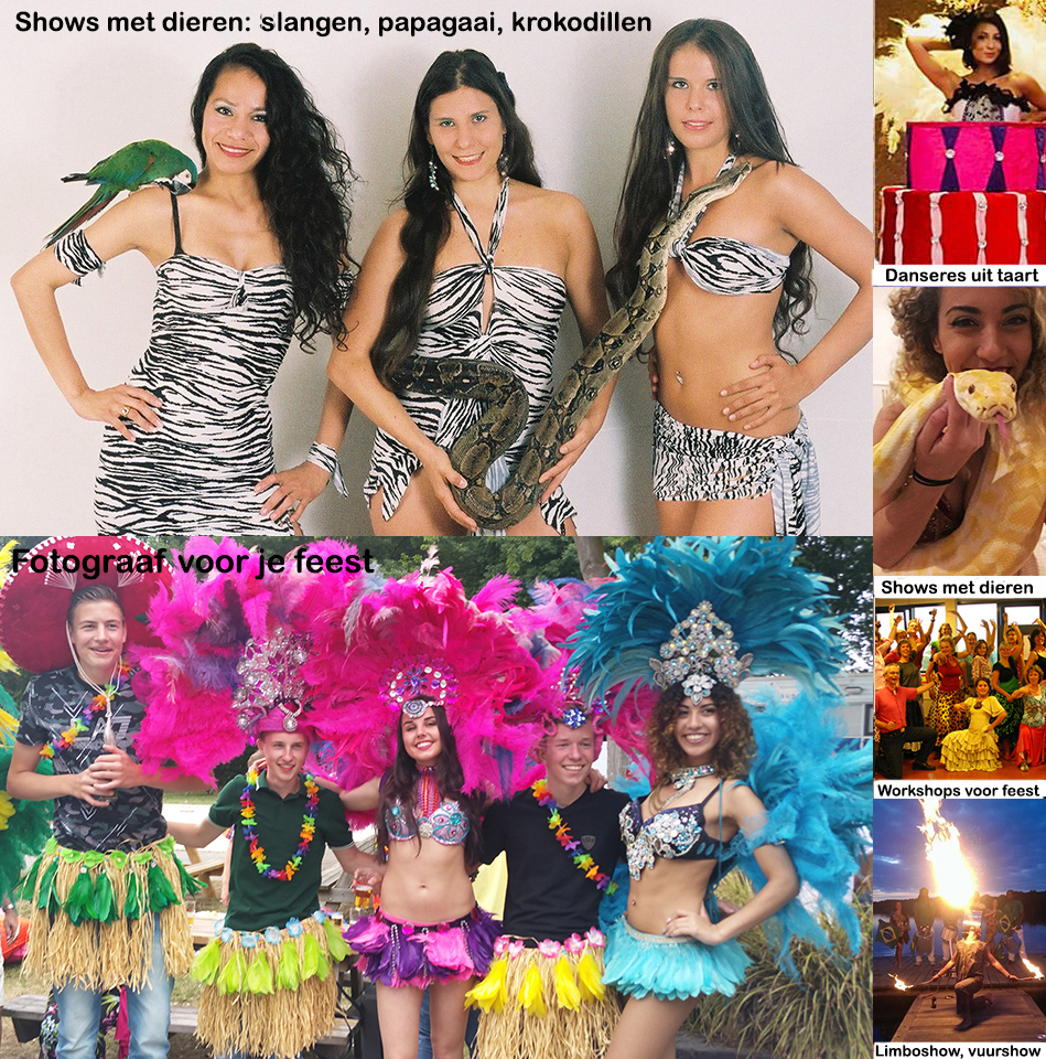 Brazilian Dancers