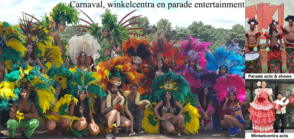 Samba danseressen Feest